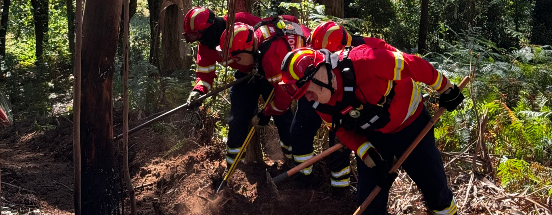 Treino Físico: A exigente preparação para o combate aos incêndios