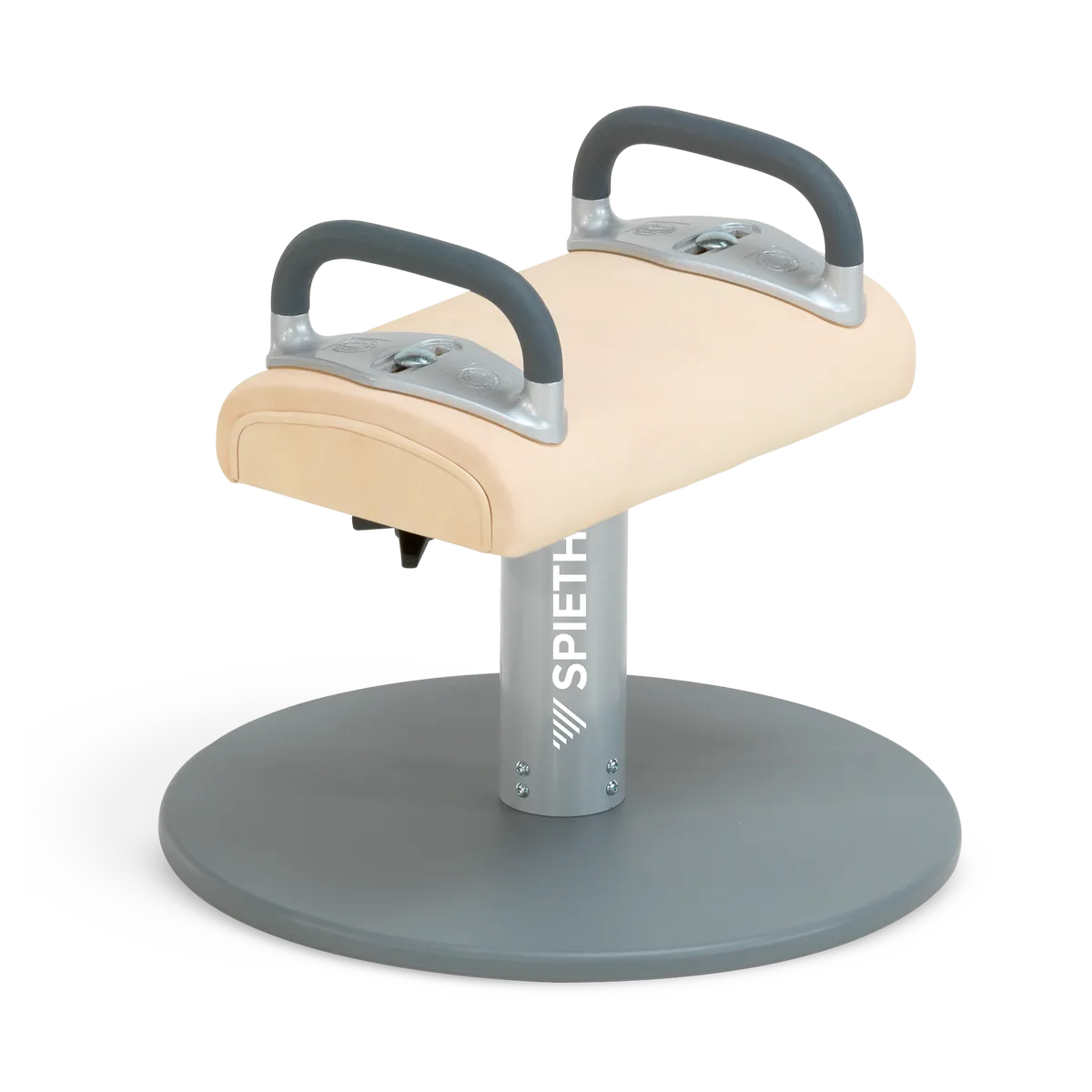 Pommel training aid