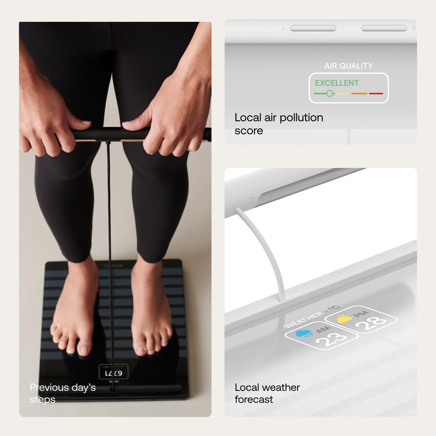 Báscula Body Scan - White