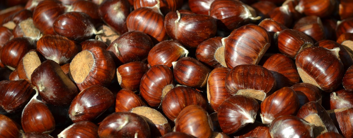 Castanhas e São Martinho: energia que aquece o corpo e o treino