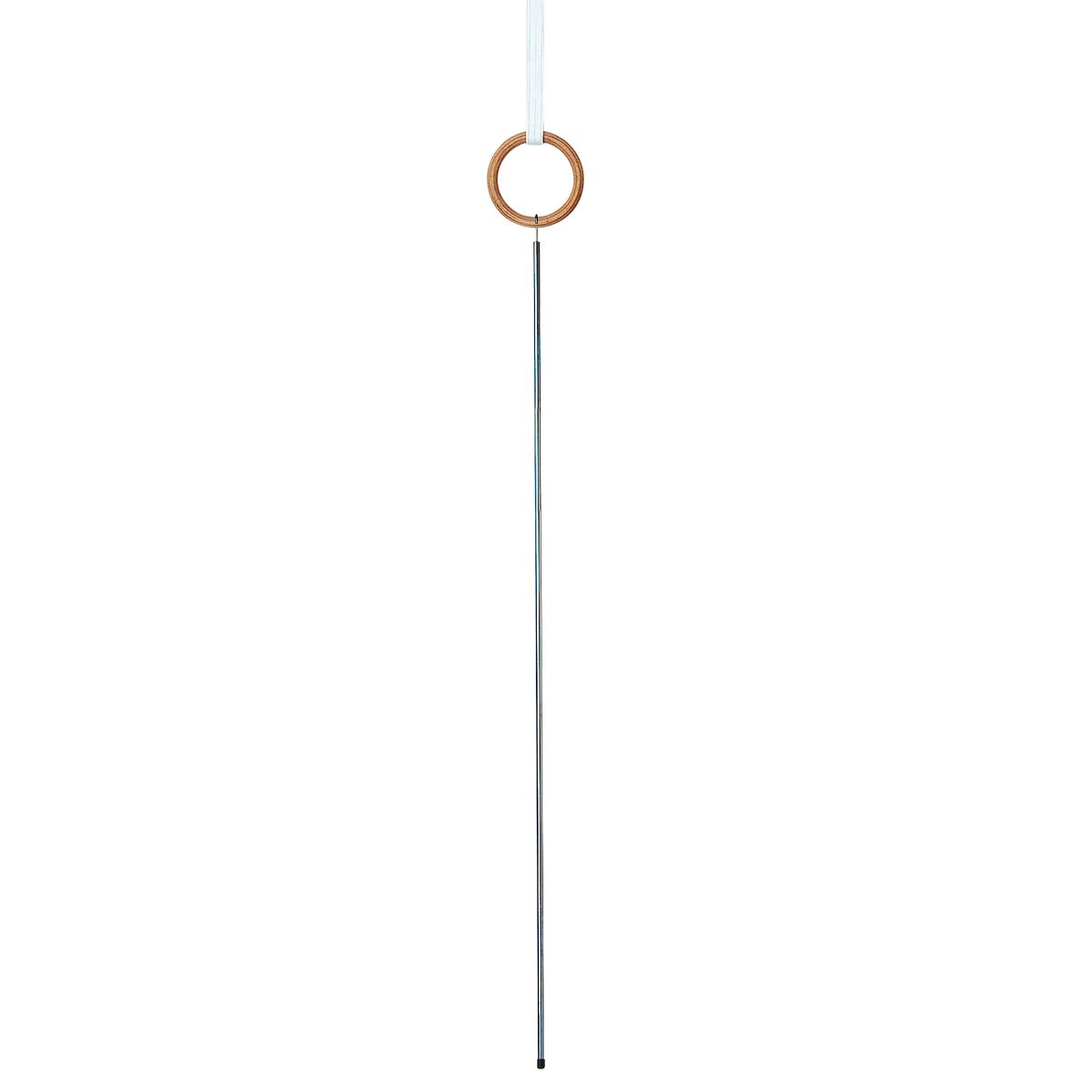 Hook for rings