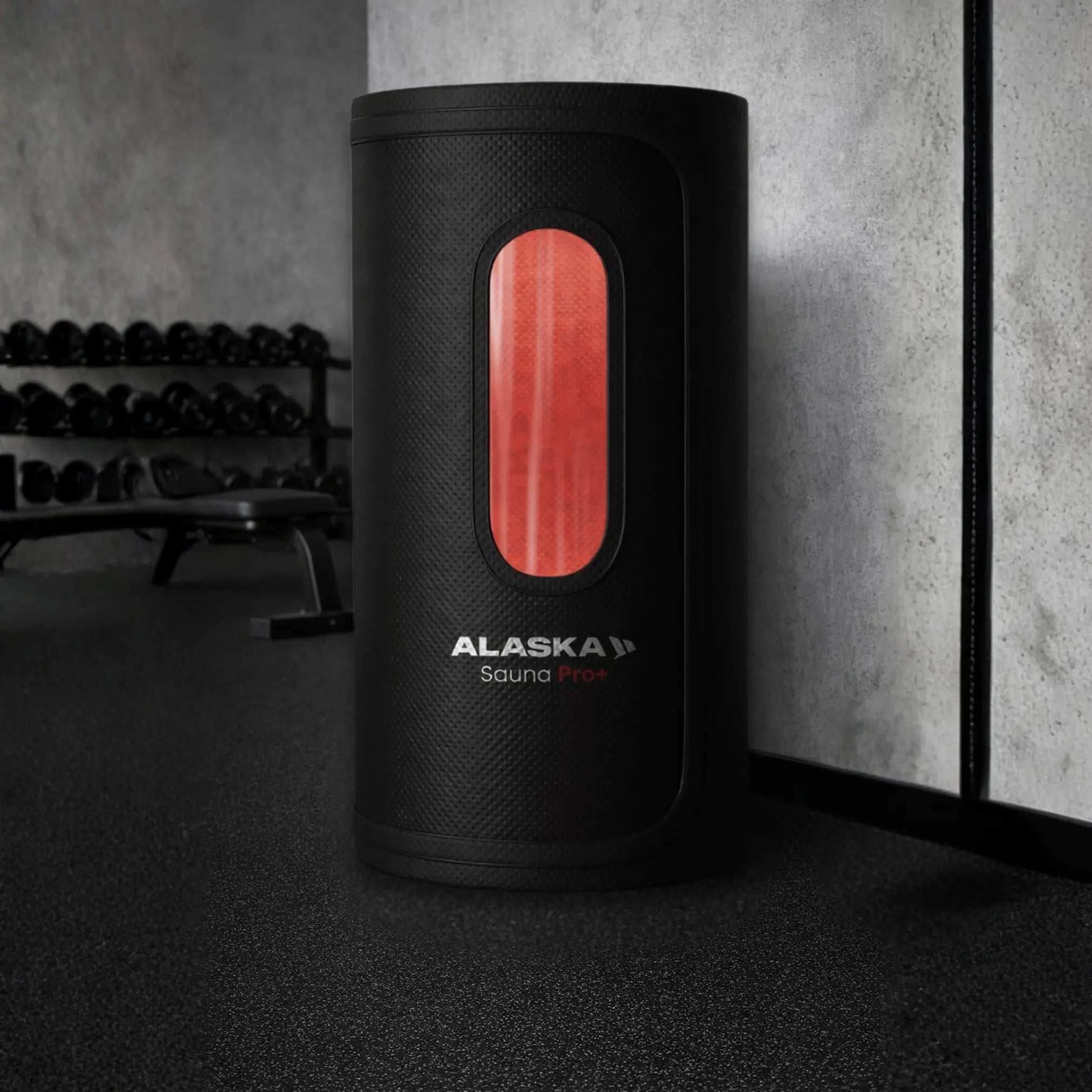 Alaska Sauna Pro+