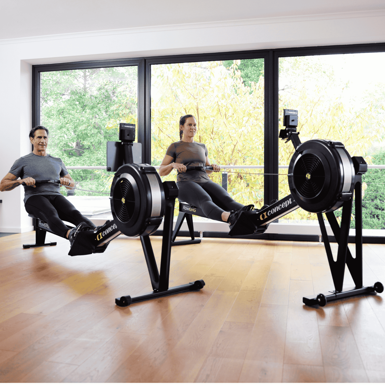 Concept2 RowErg PM5 - Estándar